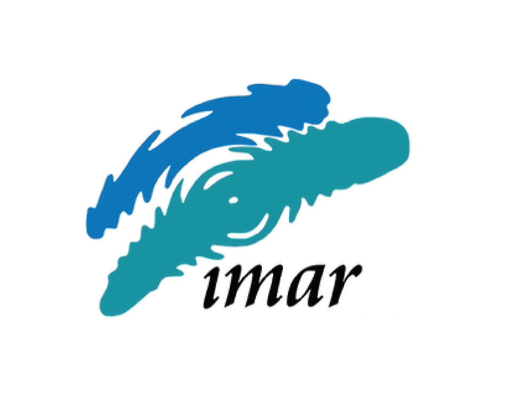 IMAR 01