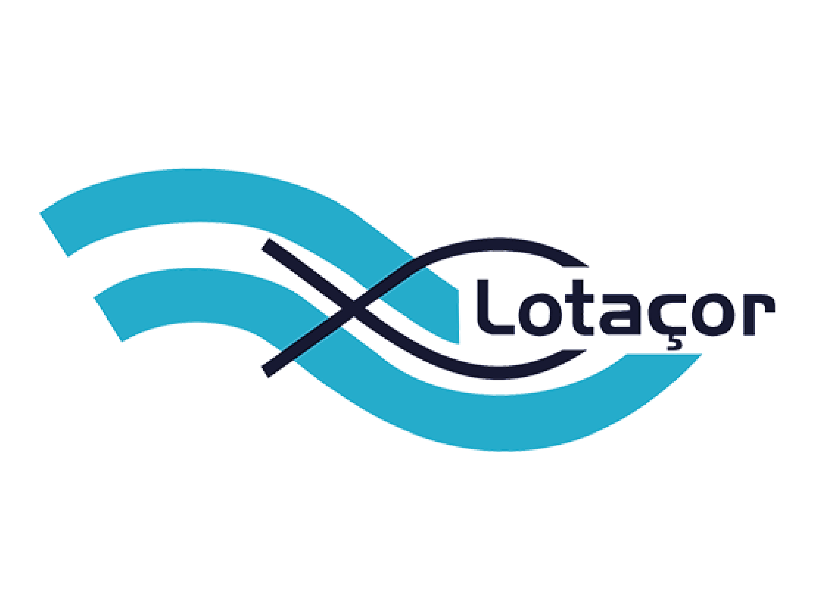 LOTACOR 01